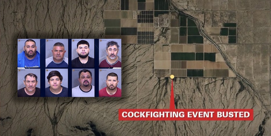 8 arrested in massive cockfighting ring bust in Rainbow Valley