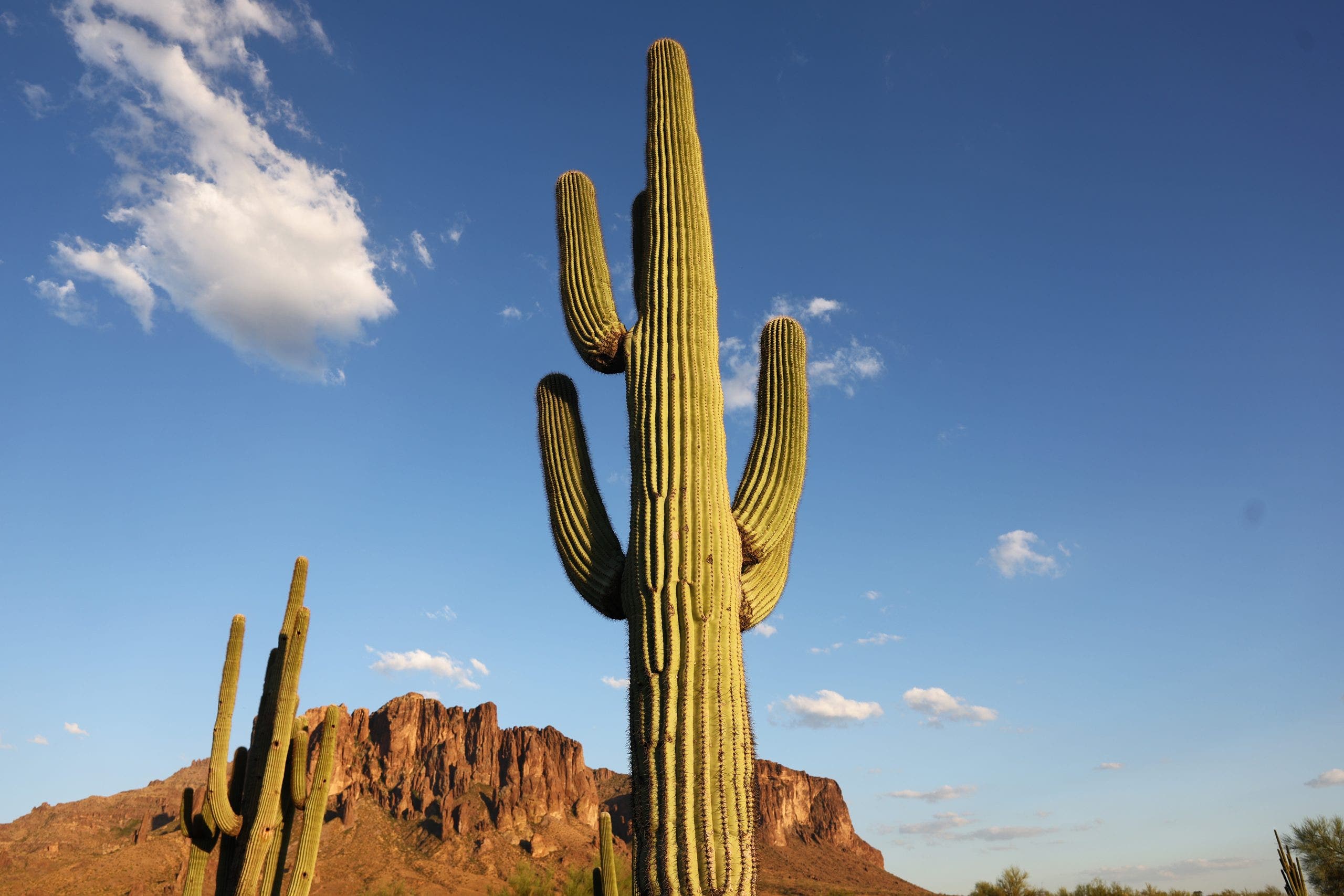 Arizona summer electricity bills to rise: Tips and financial aid options