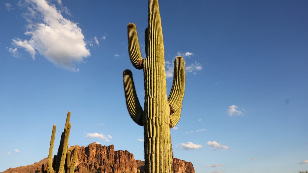 Arizona summer electricity bills to rise: Tips and financial aid options