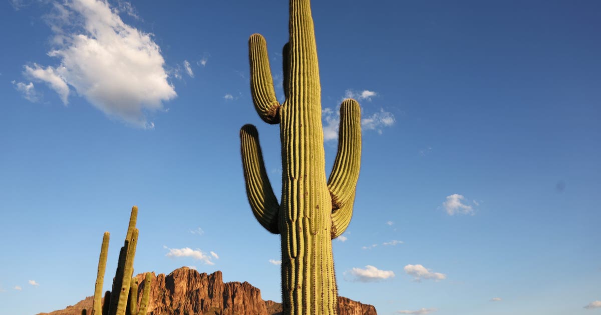 Arizona summer electricity bills to rise: Tips and financial aid options