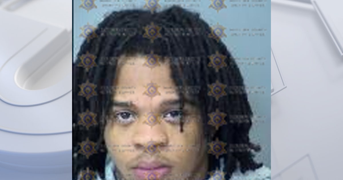 7-year-old girl shot at Avondale apartment, brother arrested: PD | FOX ...