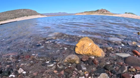Roosevelt Lake water levels drop to 43% capacity after record low runoff
