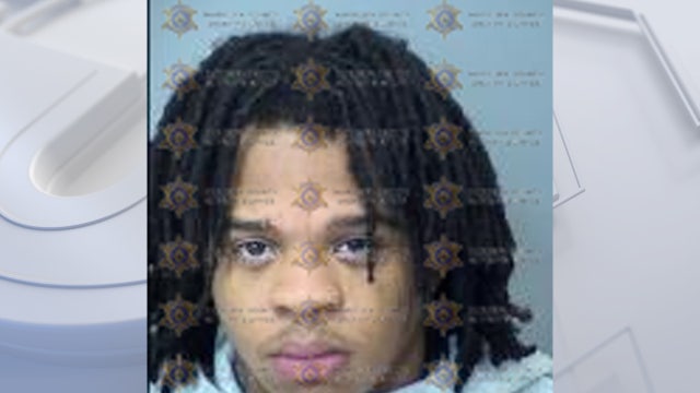 7-year-old girl shot at Avondale apartment, brother arrested: PD