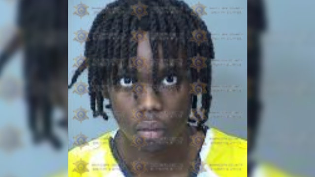 AZ teen facing murder charges over deadly El Mirage shooting