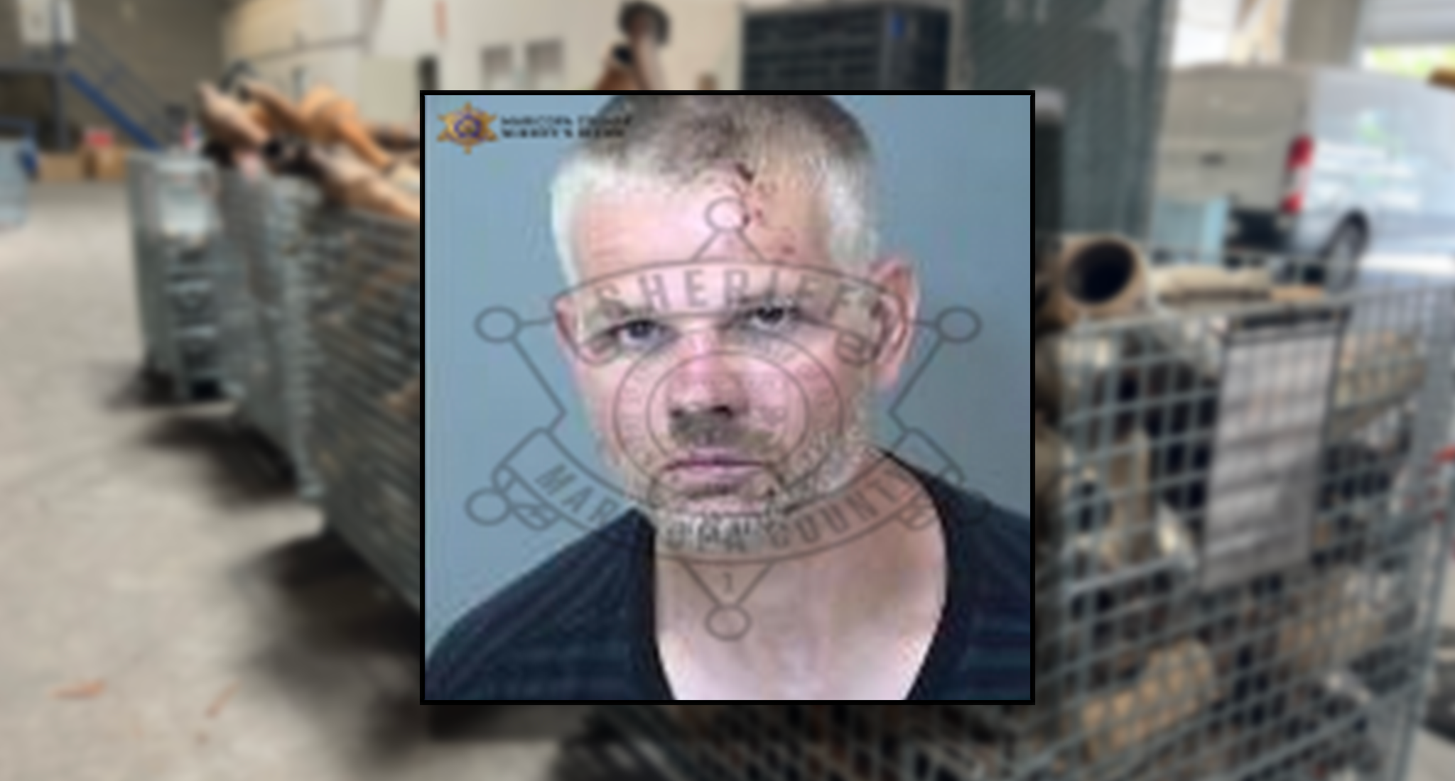 Cops nab fleeing suspect in Mesa traffic stop that uncovered 14 stolen 'cats,' hidden handgun