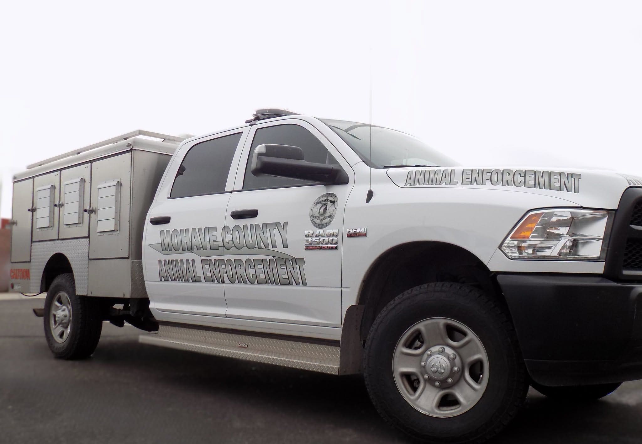 Man accused of leaving cats, rattlesnakes in hot truck in Mohave County
