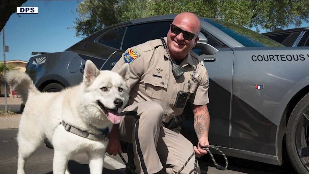 Veteran Arizona trooper was drunk during fatal Peoria motorcycle crash, autopsy reveals