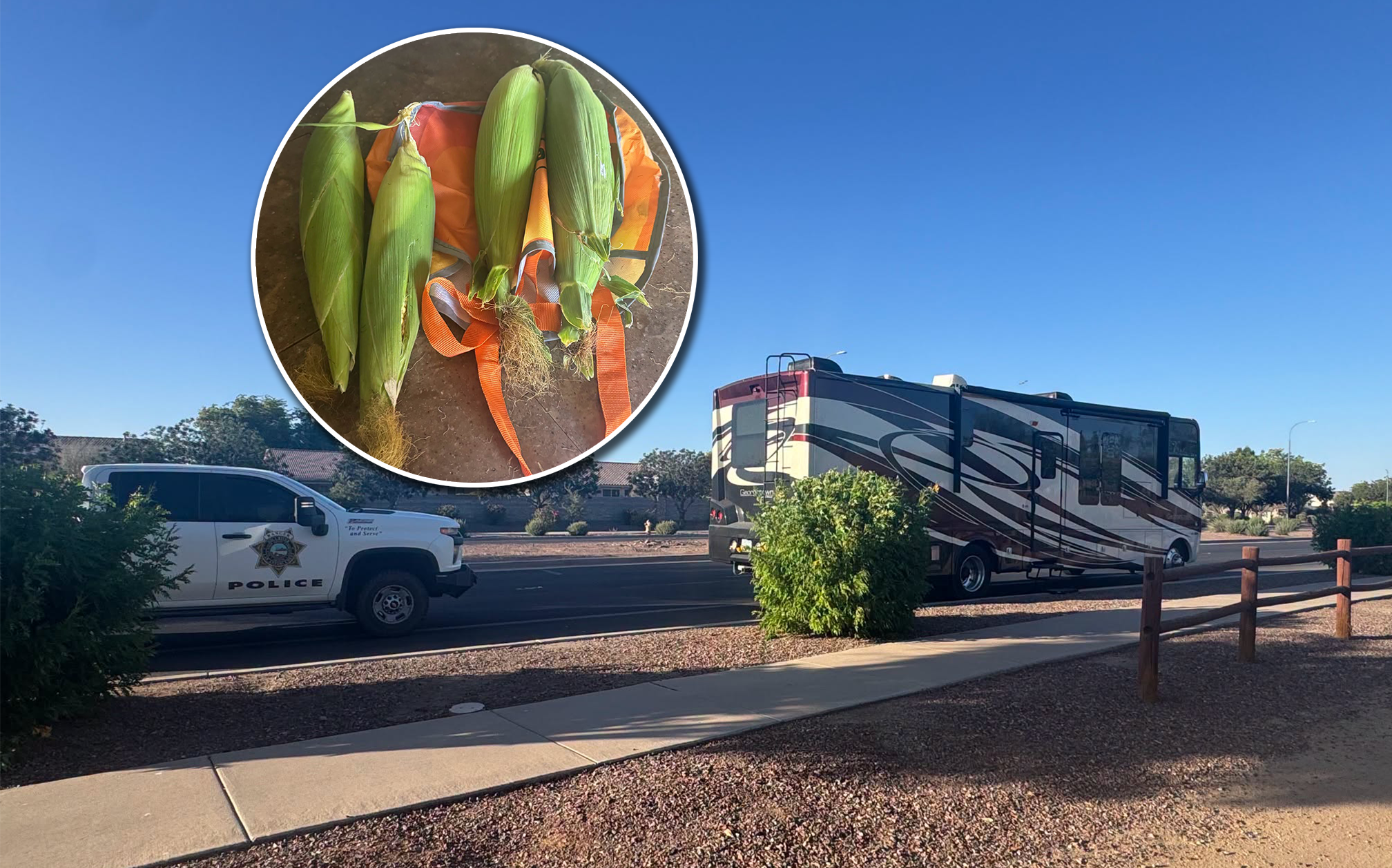 Crops and robbers: Arizona cops seize RV full of stolen corn