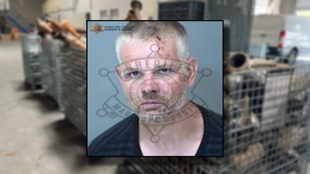Cops nab fleeing suspect in Mesa traffic stop that uncovered 14 stolen 'cats,' hidden handgun