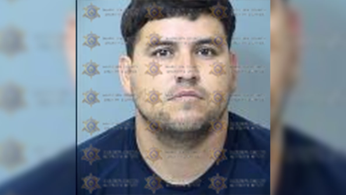 Man arrested after toddler was struck and killed by car in Phoenix: PD
