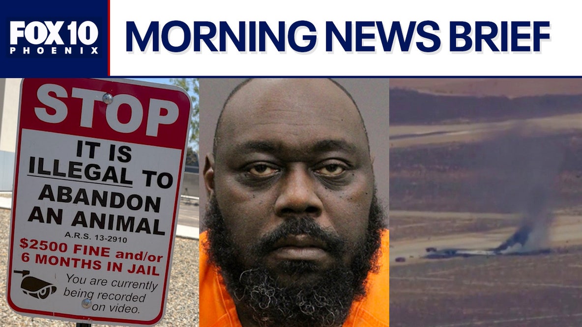 Cats abandoned outside Valley animal shelter amid extreme heat; 'Elf' actor arrested l Morning News Brief