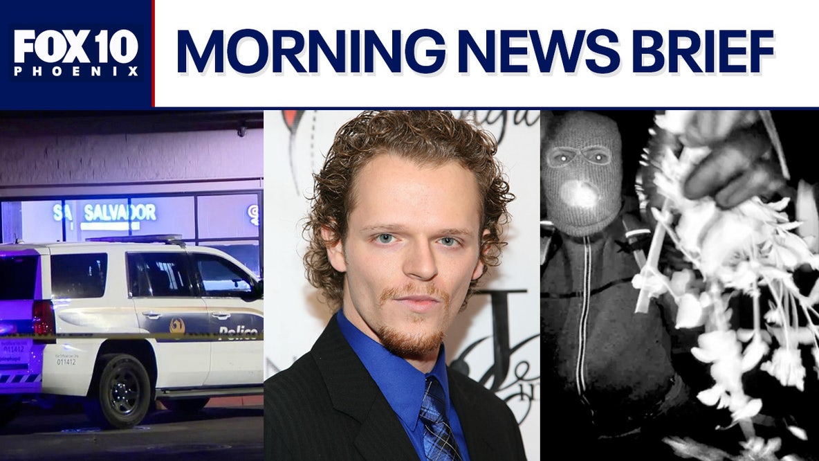 Deadly shooting at Phoenix mall; 'How I Met Your Mother' actor gets prison time l Morning News Brief