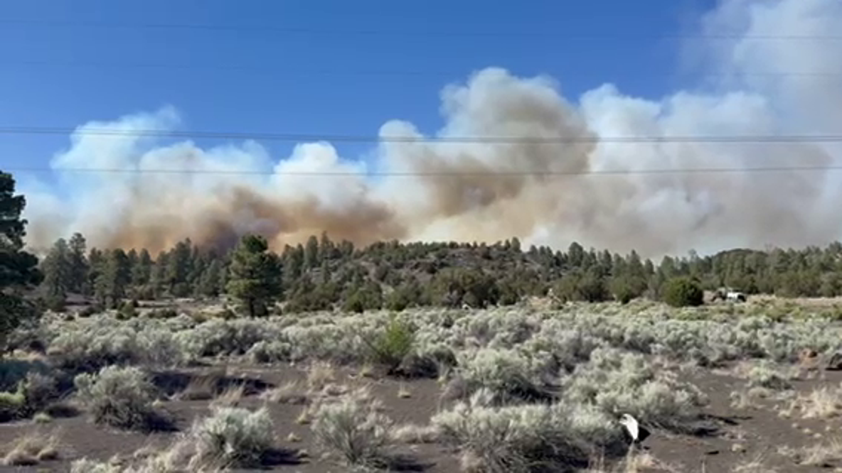 Flagstaff Papa Fire burns 100+ acres during Red Flag Warning
