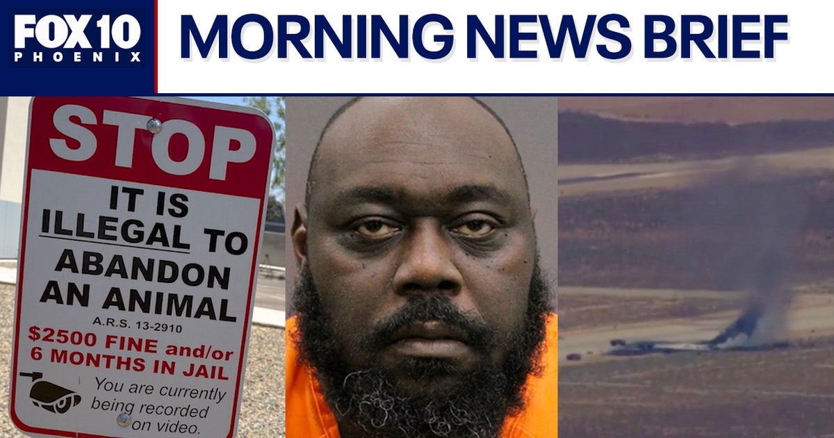 Cats abandoned outside Valley animal shelter amid extreme heat; 'Elf' actor arrested l Morning News Brief