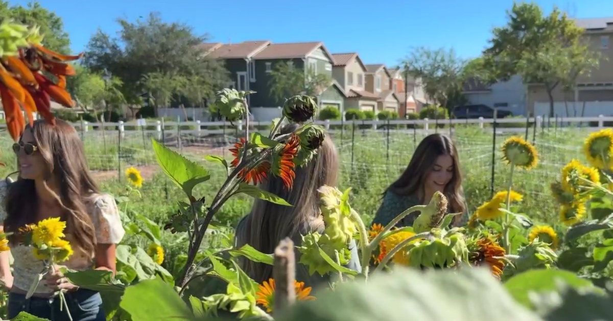 Agritopia Launches Community Agriculture Classes in Gilbert, Arizona