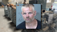 Cops nab fleeing suspect in Mesa traffic stop that uncovered 14 stolen 'cats,' hidden handgun
