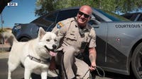DPS trooper was drunk during fatal Peoria crash