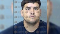 Arrest made after AZ toddler was struck and killed