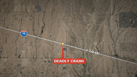 Wrong-way driver dies, 4 others hospitalized after I-10 crash