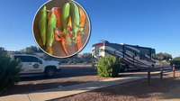 Crops and robbers: Arizona cops seize RV full of stolen corn