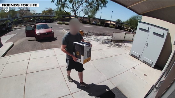 Cats left in taped box rescued during 108-degree heat in Gilbert