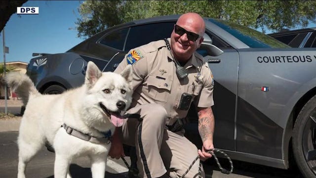 Veteran Arizona trooper was drunk during fatal Peoria motorcycle crash, autopsy reveals