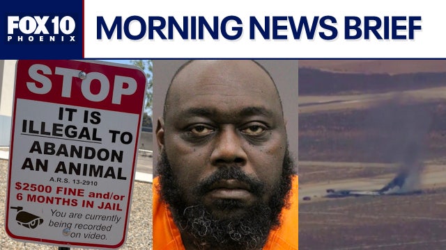 Cats abandoned outside Valley animal shelter amid extreme heat; 'Elf' actor arrested l Morning News Brief