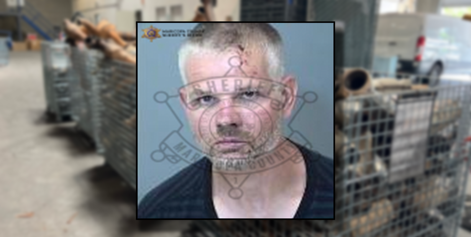 Cops nab fleeing suspect in Mesa traffic stop that uncovered 14 stolen 'cats,' hidden handgun
