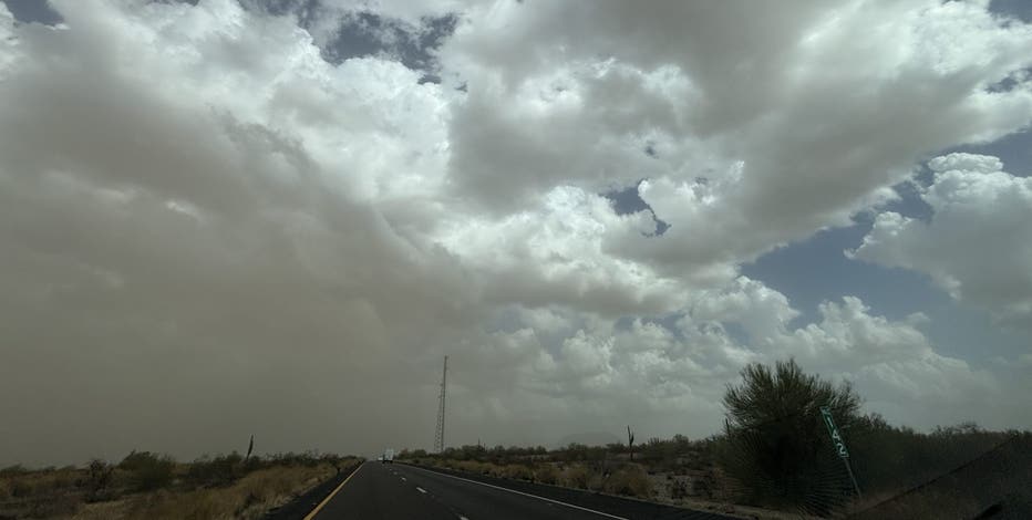 Hikers find missing woman dead in Arizona desert