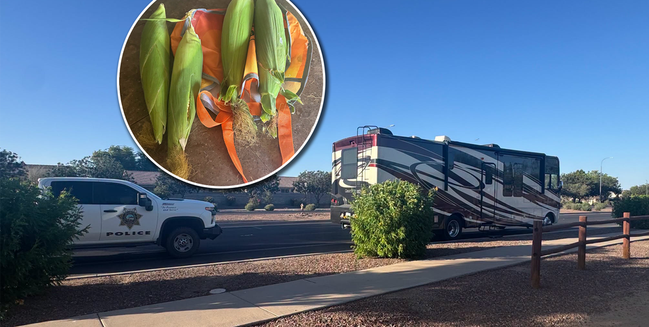 Crops and robbers: Arizona cops seize RV full of stolen corn