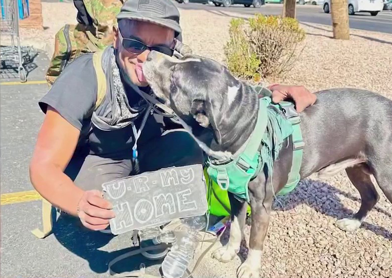 Phoenix nonprofit Dog's Day Out AZ helps homeless people and their pets