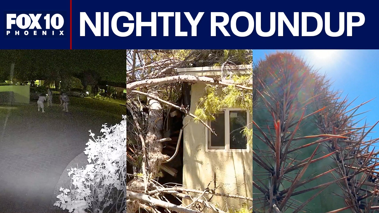 Search continues for AZ party shooting suspects; Extreme heat takes toll on iconic cactus | Nightly Roundup