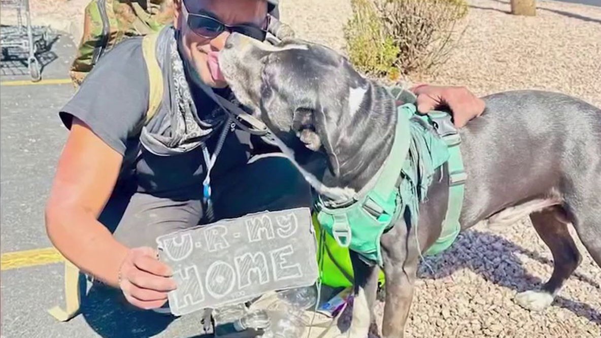 Phoenix nonprofit Dog's Day Out AZ helps homeless people and their pets
