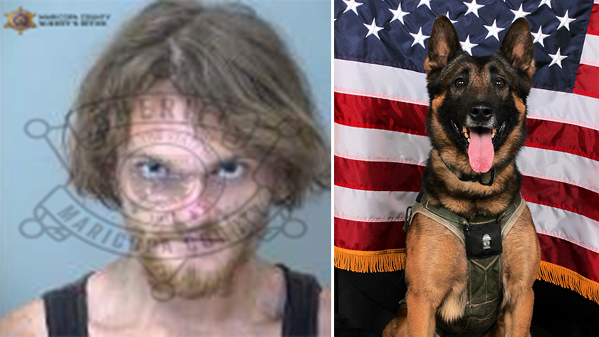 Homeless man accused of spray-painting Phoenix police K-9