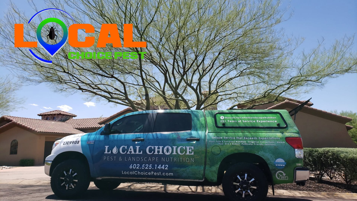 Taking Back Your Yard: Why Arizona Homeowners Are Ditching DIY for the Ultimate Pest Protection