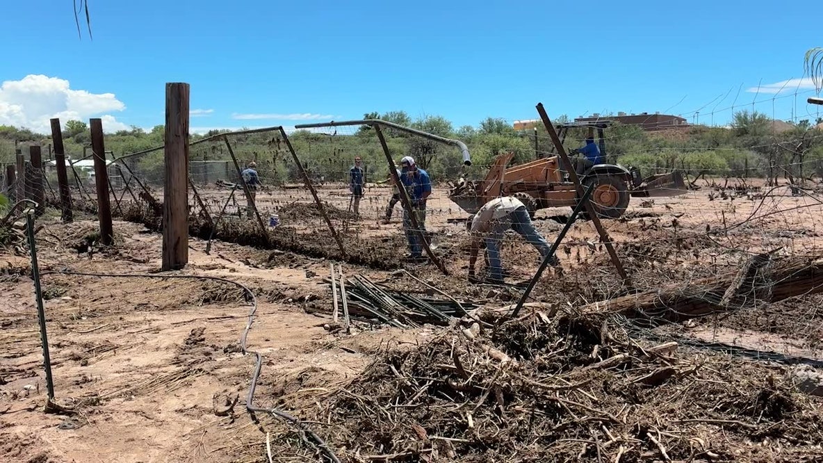 Severe flooding forces Out of Africa Wildlife Park to close