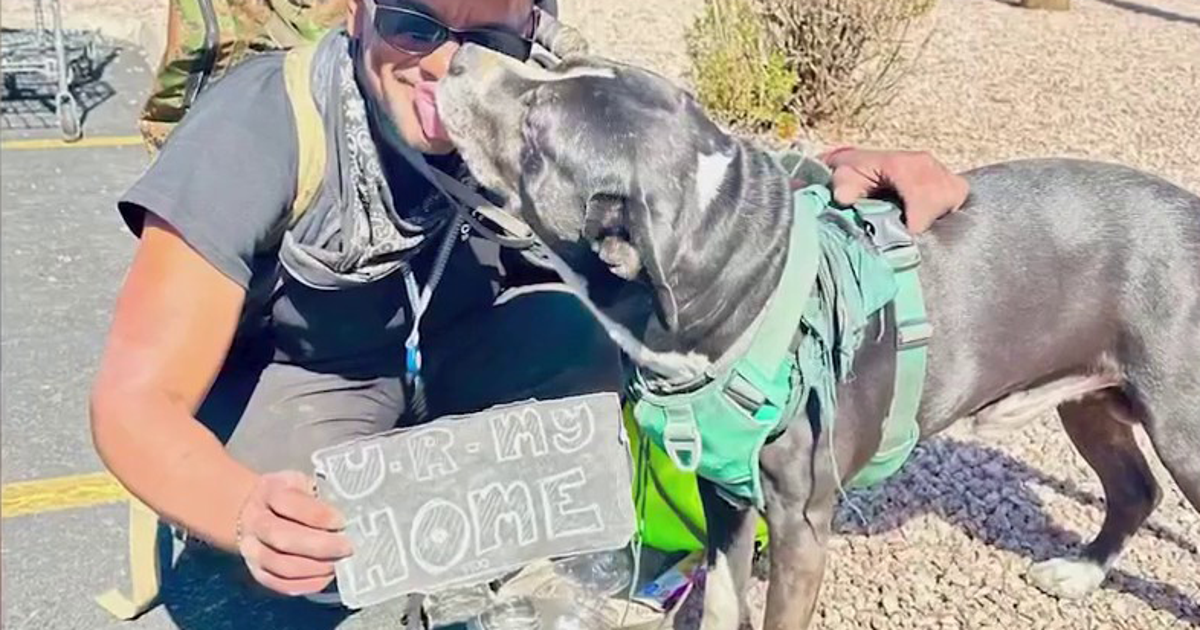 Phoenix nonprofit Dog's Day Out AZ helps homeless people and their pets