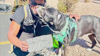 Phoenix nonprofit helps homeless and their pets