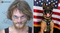 Homeless man accused of spray-painting police K-9