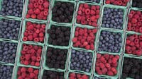 Arizona reports several cases in nationwide cyclosporiasis parasite outbreak