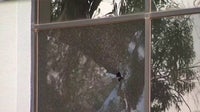 FBI: Gunshots fired outside Phoenix ICE building