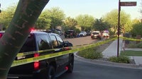 2 hurt in Mesa double shooting, person detained