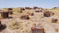 Navajo cultural experience: Hubbell Trading Post event coming to Petrified Forest National Park