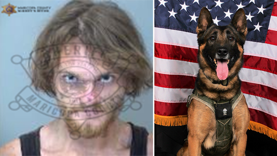 Homeless man accused of spray-painting Phoenix police K-9