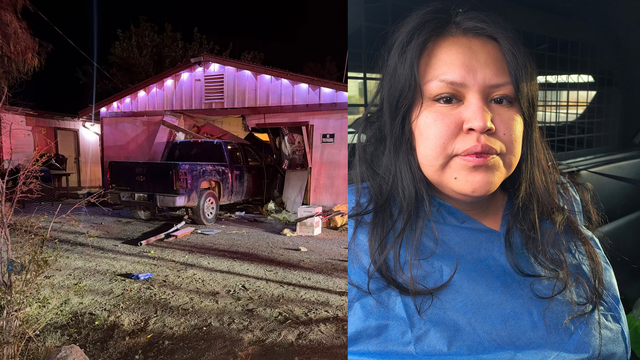 Arizona woman hit with staggering 46 charges after running down pedestrian, plowing car into home: cops