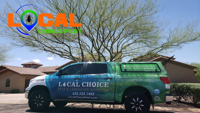 Taking Back Your Yard: Why Arizona Homeowners Are Ditching DIY for the Ultimate Pest Protection