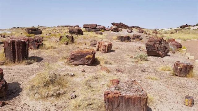 Navajo cultural experience: Hubbell Trading Post event coming to Petrified Forest National Park
