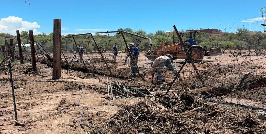 Severe flooding forces Out of Africa Wildlife Park to close