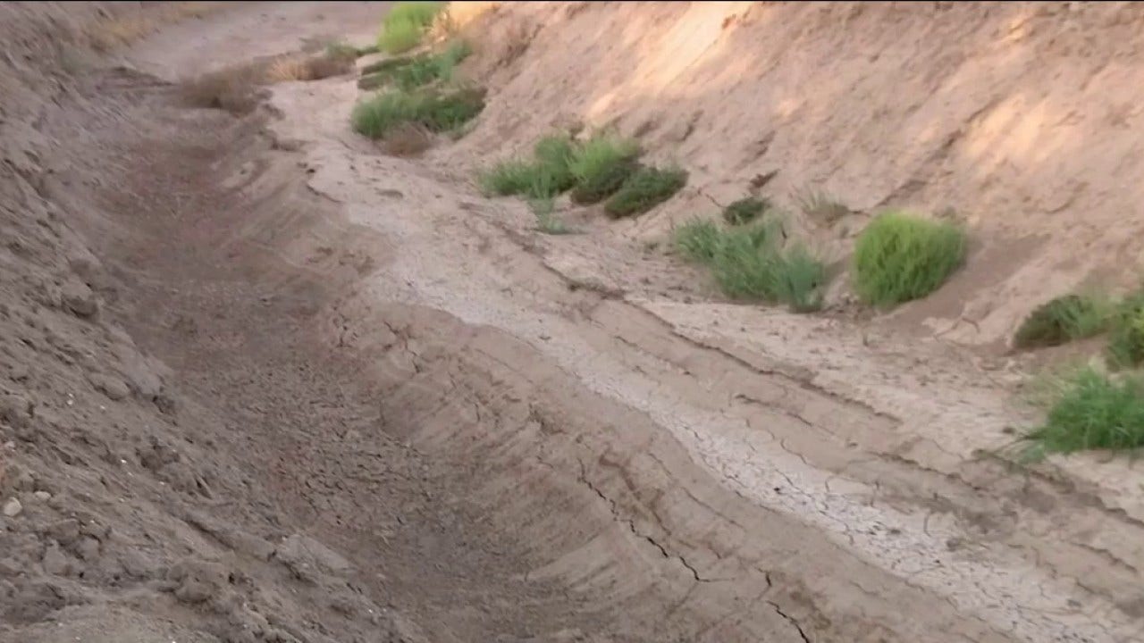 Arizona farmers warn Colorado River water cuts could raise prices on food, everyday goods
