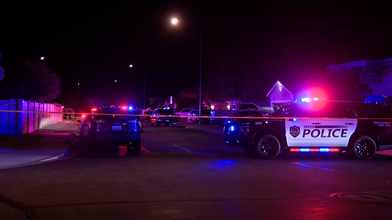 Person shot by Mesa officers, police investigating